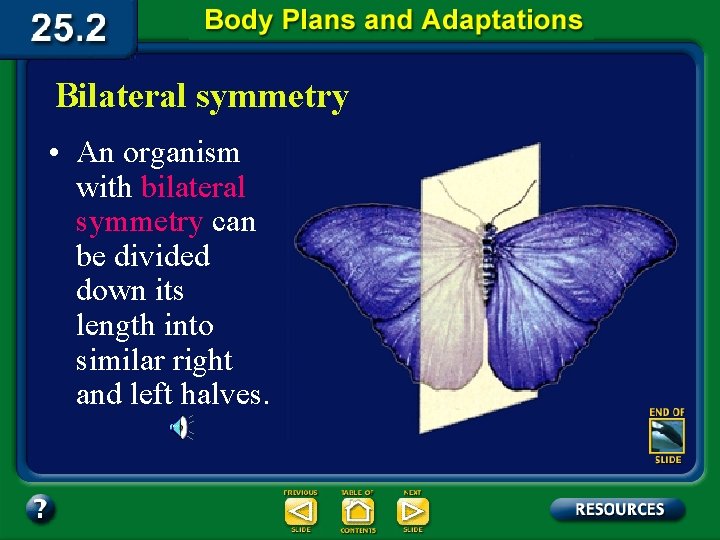 Bilateral symmetry • An organism with bilateral symmetry can be divided down its length