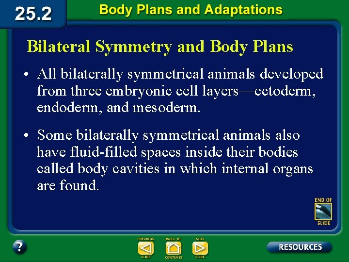 Bilateral Symmetry and Body Plans • All bilaterally symmetrical animals developed from three embryonic