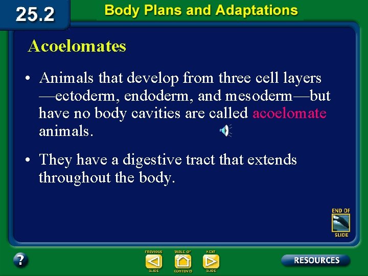 Acoelomates • Animals that develop from three cell layers —ectoderm, endoderm, and mesoderm—but have