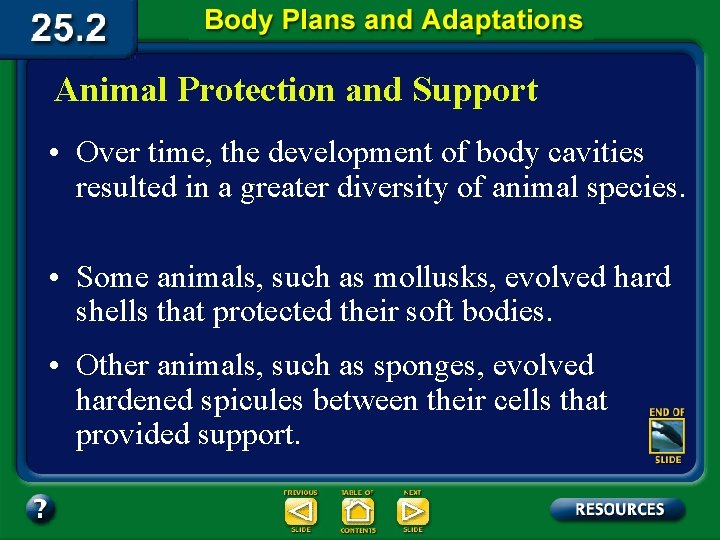 Animal Protection and Support • Over time, the development of body cavities resulted in
