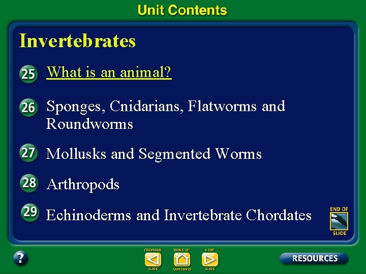 Invertebrates What is an animal? Sponges, Cnidarians, Flatworms and Roundworms Mollusks and Segmented Worms