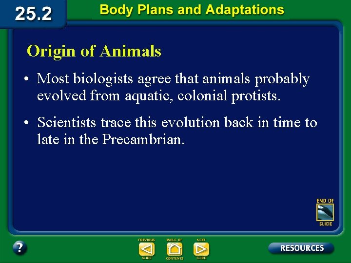 Origin of Animals • Most biologists agree that animals probably evolved from aquatic, colonial