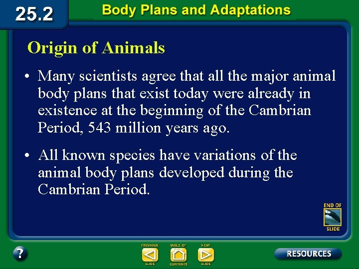 Origin of Animals • Many scientists agree that all the major animal body plans