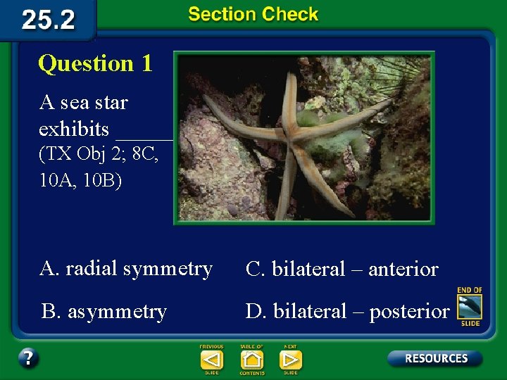 Question 1 A sea star exhibits _______. (TX Obj 2; 8 C, 10 A,