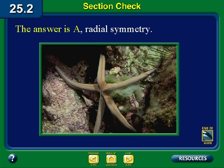 The answer is A, radial symmetry. 