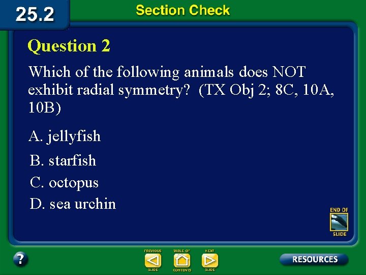 Question 2 Which of the following animals does NOT exhibit radial symmetry? (TX Obj