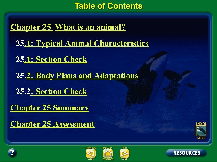 Chapter 25 What is an animal? 25. 1: Typical Animal Characteristics 25. 1: Section