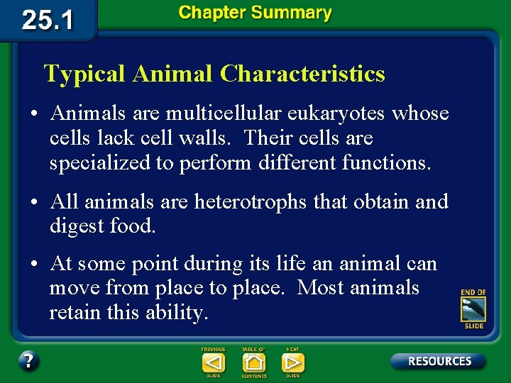 Typical Animal Characteristics • Animals are multicellular eukaryotes whose cells lack cell walls. Their