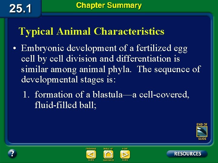 Typical Animal Characteristics • Embryonic development of a fertilized egg cell by cell division