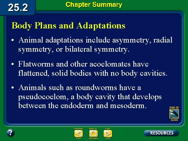 Body Plans and Adaptations • Animal adaptations include asymmetry, radial symmetry, or bilateral symmetry.