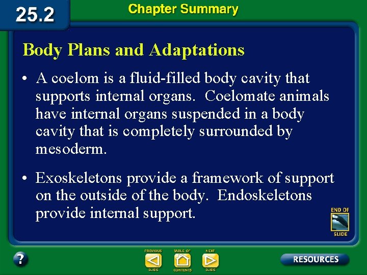 Body Plans and Adaptations • A coelom is a fluid-filled body cavity that supports