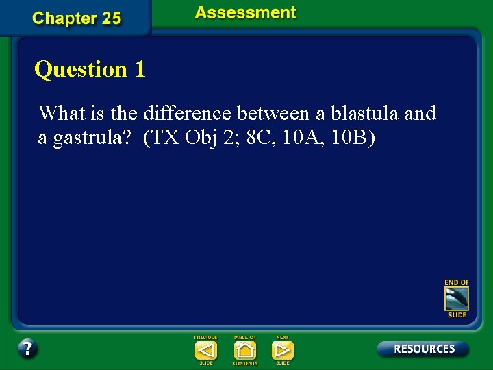 Question 1 What is the difference between a blastula and a gastrula? (TX Obj