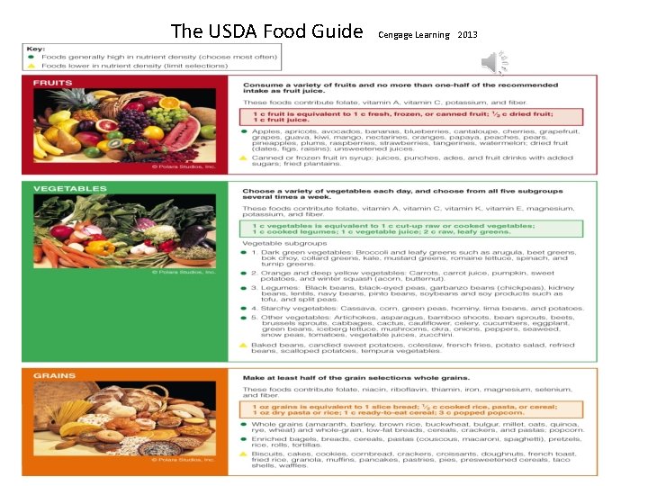 The USDA Food Guide Cengage Learning 2013 The USDA Food Guide Cengage Learning 2013