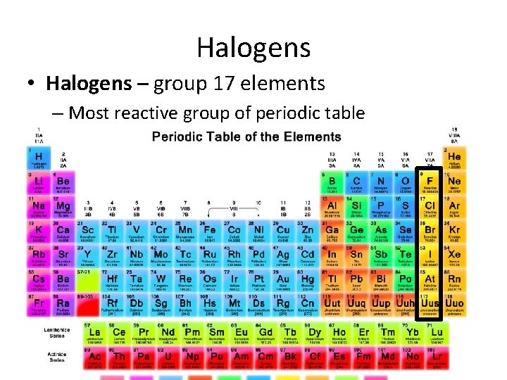 Halogens • Halogens – group 17 elements – Most reactive group of periodic table