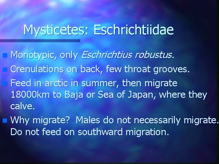 Mysticetes: Eschrichtiidae Monotypic, only Eschrichtius robustus. n Crenulations on back, few throat grooves. n