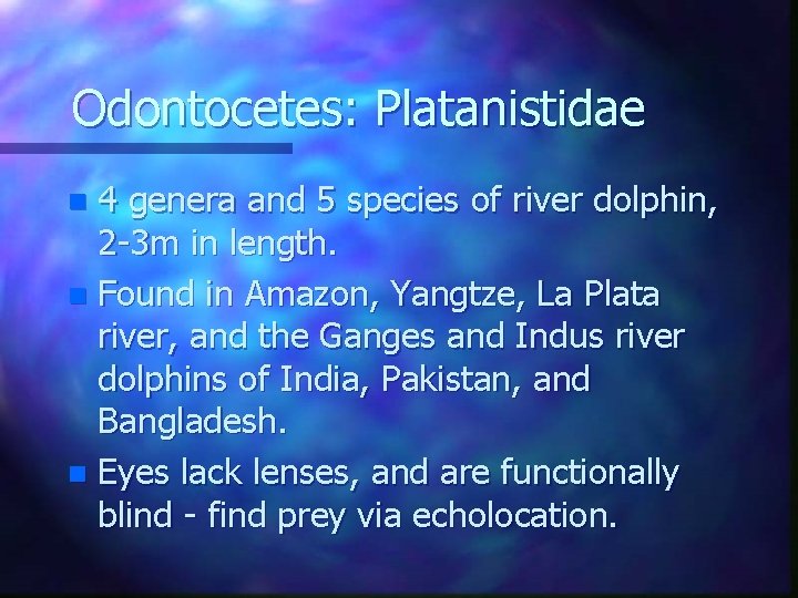 Odontocetes: Platanistidae 4 genera and 5 species of river dolphin, 2 -3 m in