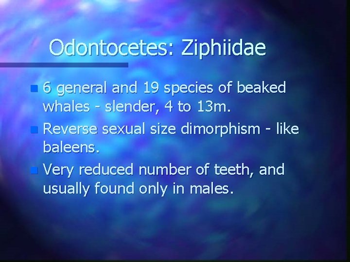 Odontocetes: Ziphiidae 6 general and 19 species of beaked whales - slender, 4 to