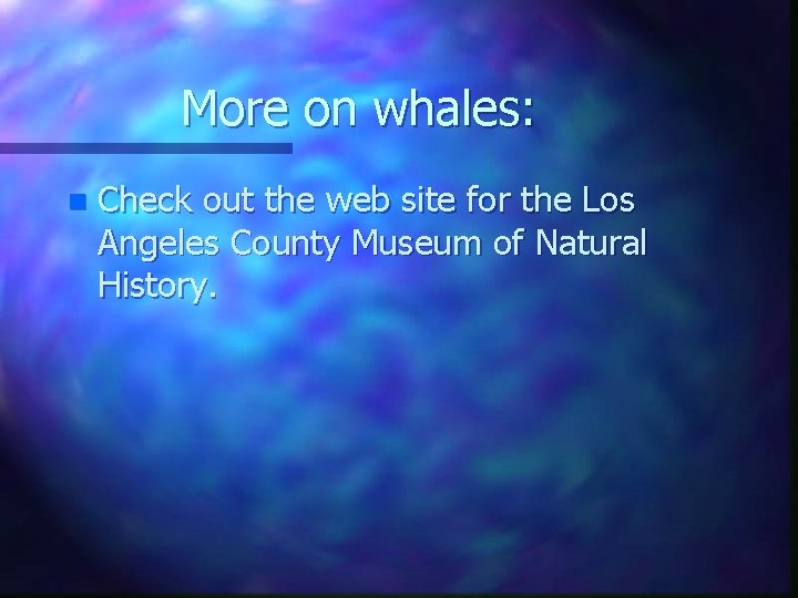More on whales: n Check out the web site for the Los Angeles County
