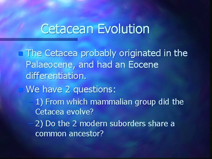 Cetacean Evolution The Cetacea probably originated in the Palaeocene, and had an Eocene differentiation.