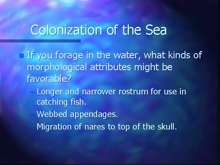 Colonization of the Sea n If you forage in the water, what kinds of