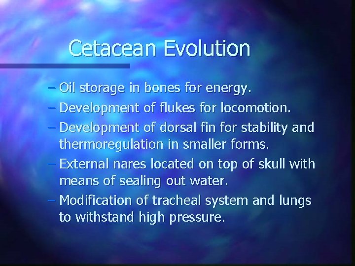 Cetacean Evolution – Oil storage in bones for energy. – Development of flukes for