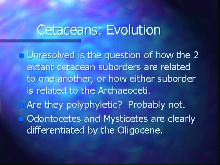 Cetaceans: Evolution Unresolved is the question of how the 2 extant cetacean suborders are