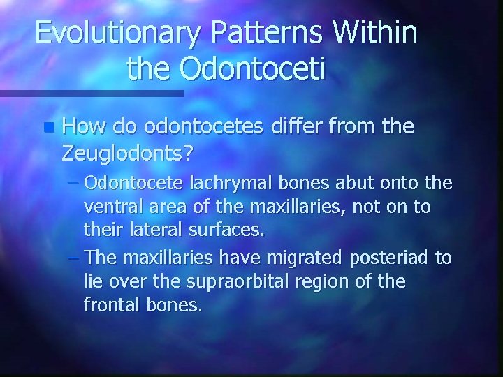 Evolutionary Patterns Within the Odontoceti n How do odontocetes differ from the Zeuglodonts? –