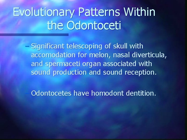 Evolutionary Patterns Within the Odontoceti – Significant telescoping of skull with accomodation for melon,