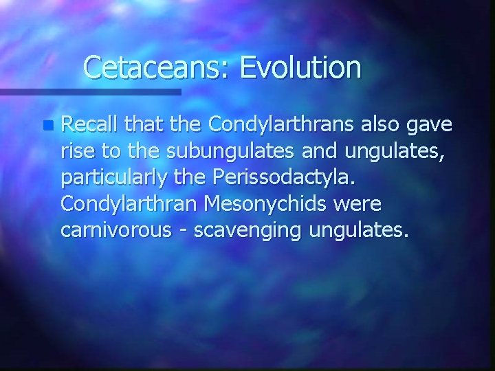 Cetaceans: Evolution n Recall that the Condylarthrans also gave rise to the subungulates and