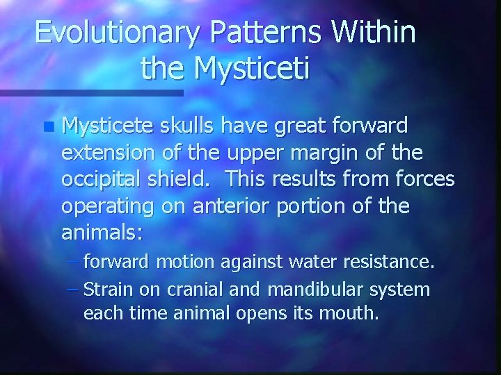 Evolutionary Patterns Within the Mysticeti n Mysticete skulls have great forward extension of the