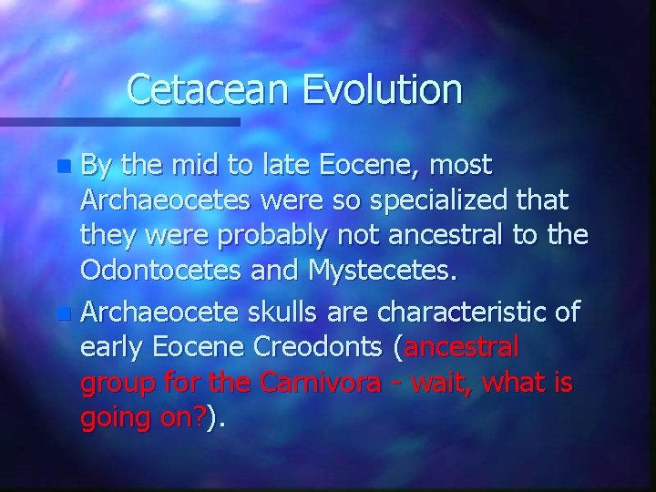 Cetacean Evolution By the mid to late Eocene, most Archaeocetes were so specialized that