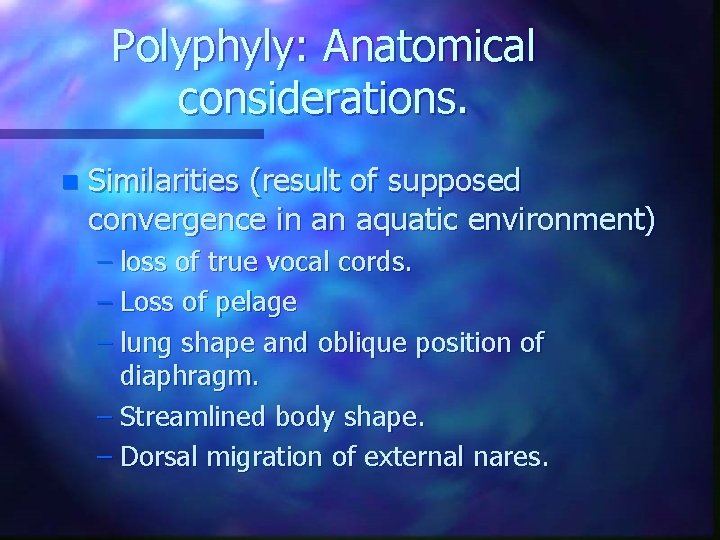 Polyphyly: Anatomical considerations. n Similarities (result of supposed convergence in an aquatic environment) –