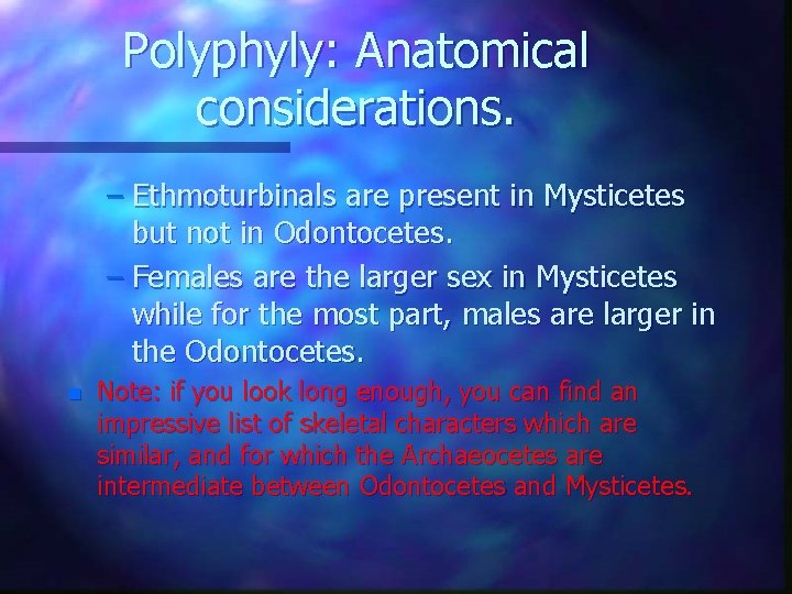 Polyphyly: Anatomical considerations. – Ethmoturbinals are present in Mysticetes but not in Odontocetes. –