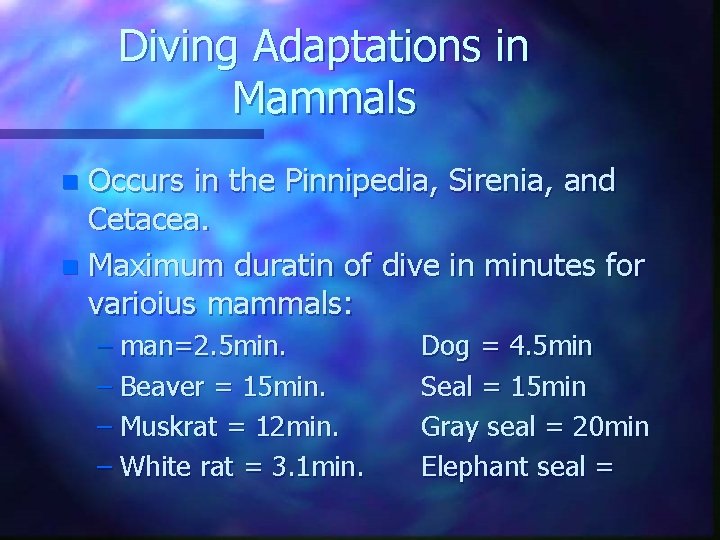 Diving Adaptations in Mammals Occurs in the Pinnipedia, Sirenia, and Cetacea. n Maximum duratin