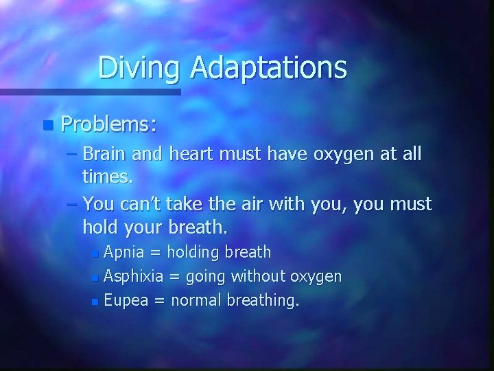 Diving Adaptations n Problems: – Brain and heart must have oxygen at all times.