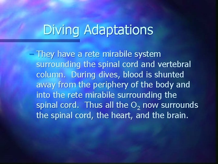 Diving Adaptations – They have a rete mirabile system surrounding the spinal cord and