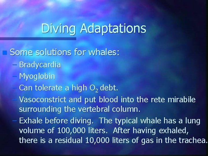 Diving Adaptations n Some solutions for whales: – Bradycardia – Myoglobin – Can tolerate