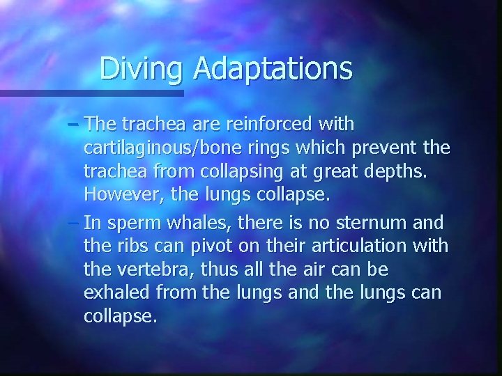 Diving Adaptations – The trachea are reinforced with cartilaginous/bone rings which prevent the trachea