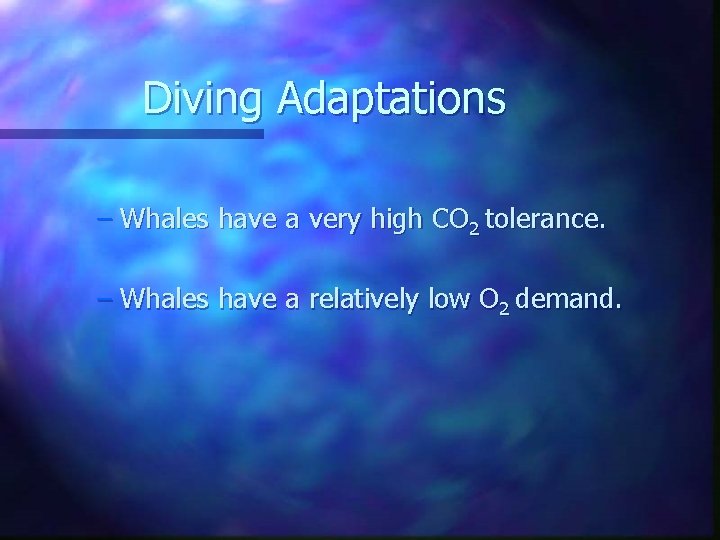 Diving Adaptations – Whales have a very high CO 2 tolerance. – Whales have