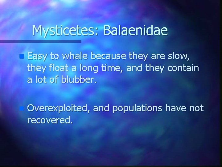 Mysticetes: Balaenidae n Easy to whale because they are slow, they float a long