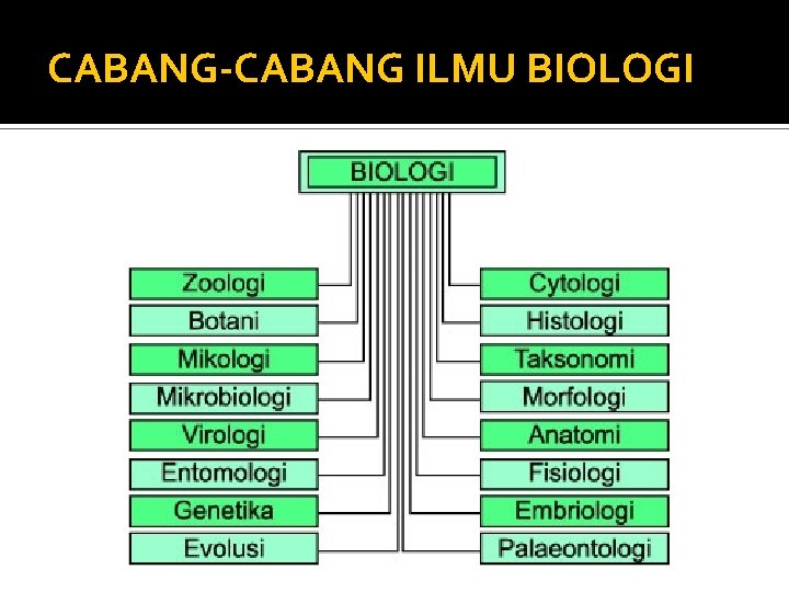 CABANG-CABANG ILMU BIOLOGI 