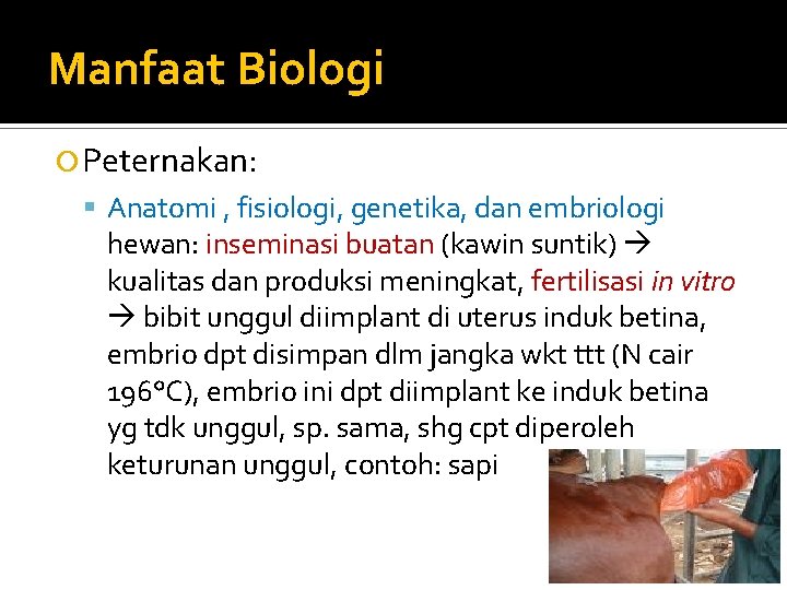 Manfaat Biologi Peternakan: Anatomi , fisiologi, genetika, dan embriologi hewan: inseminasi buatan (kawin suntik)