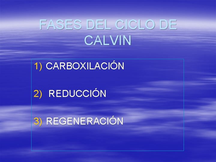 CICLO DE CALVIN FASE OBSCURA DE LA FOTOSNTESIS