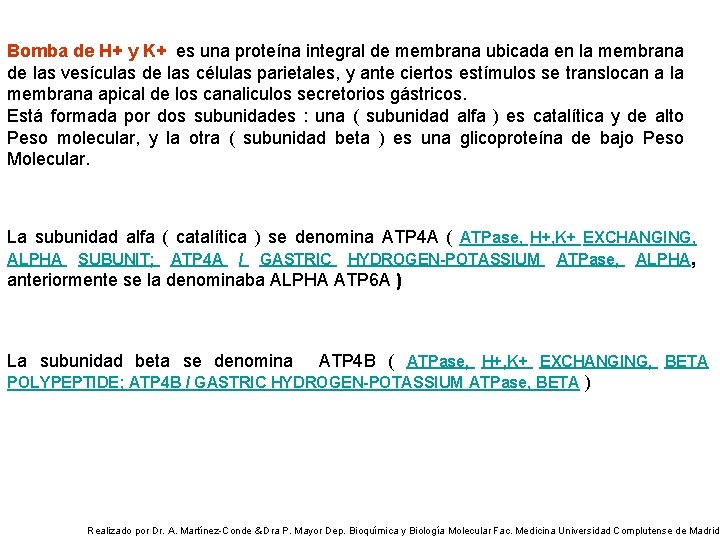 Bomba de H+ y K+ es una proteína integral de membrana ubicada en la