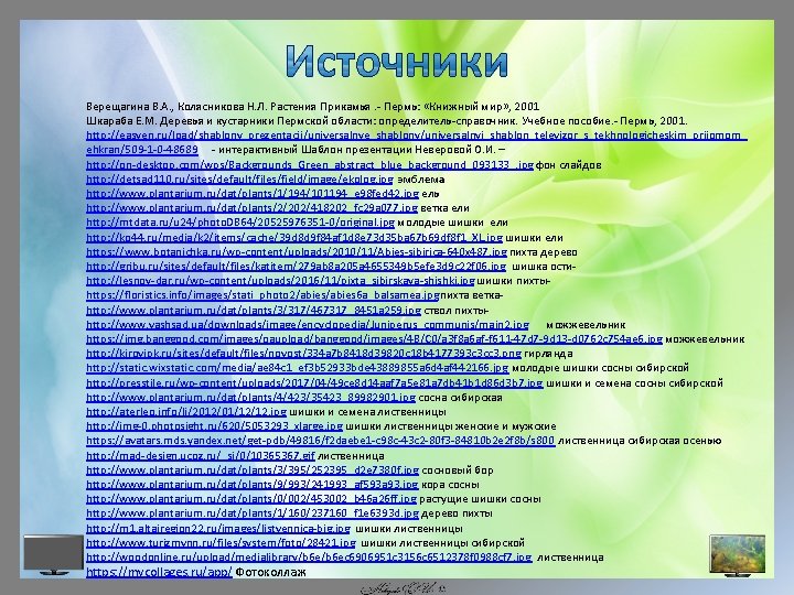 Верещагина В. А. , Колясникова Н. Л. Растения Прикамья. - Пермь: «Книжный мир» ,