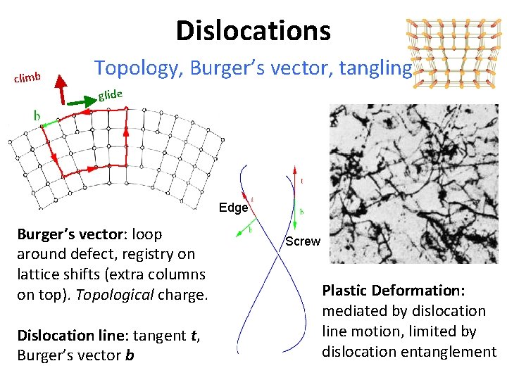 Dislocations climb Topology, Burger’s vector, tangling glide Edge Burger’s vector: loop around defect, registry