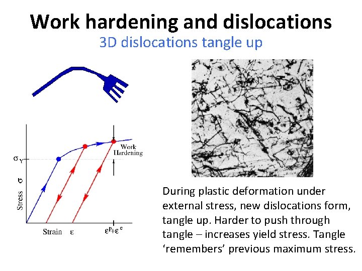 Work hardening and dislocations 3 D dislocations tangle up During plastic deformation under external