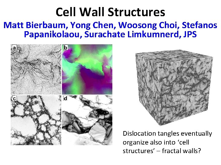 Cell Wall Structures Matt Bierbaum, Yong Chen, Woosong Choi, Stefanos Papanikolaou, Surachate Limkumnerd, JPS