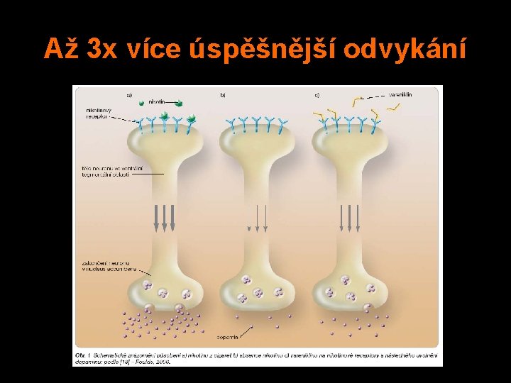 Až 3 x více úspěšnější odvykání 