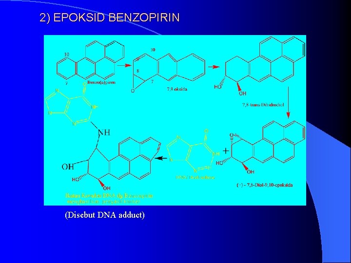 2) EPOKSID BENZOPIRIN (Disebut DNA adduct) 